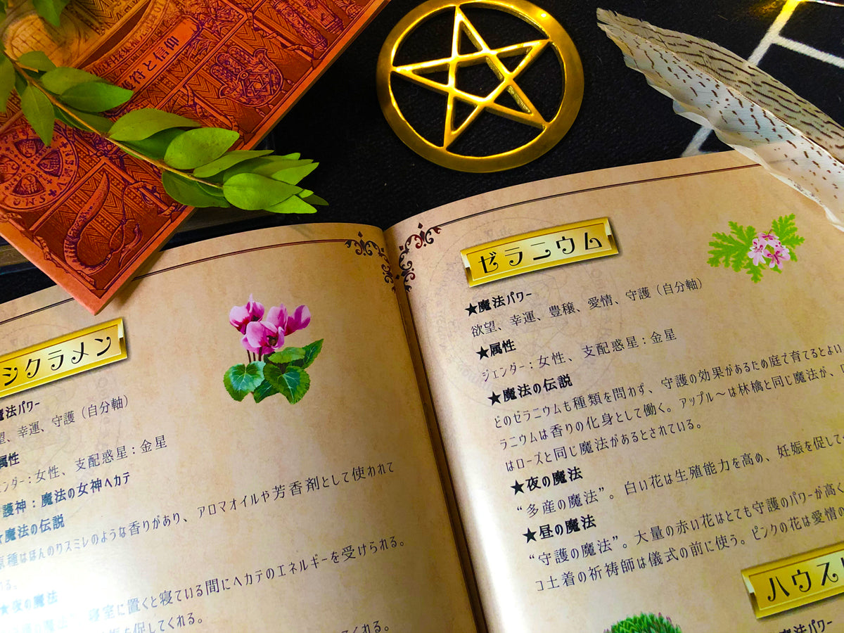 魔女の魔導書〜薬草魔女の願望実現レッスン〜